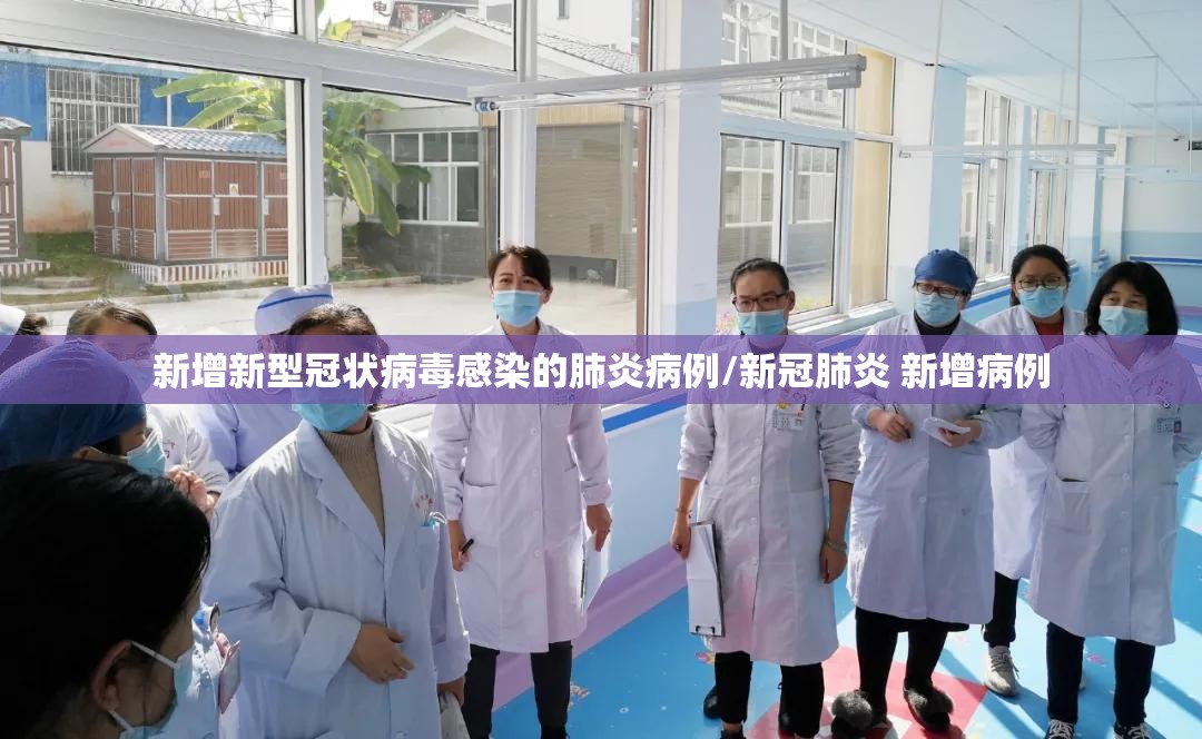 新增新型冠状病毒感染的肺炎病例/新冠肺炎 新增病例