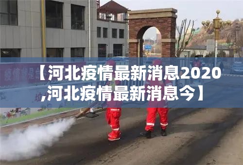 【河北疫情最新消息2020,河北疫情最新消息今】