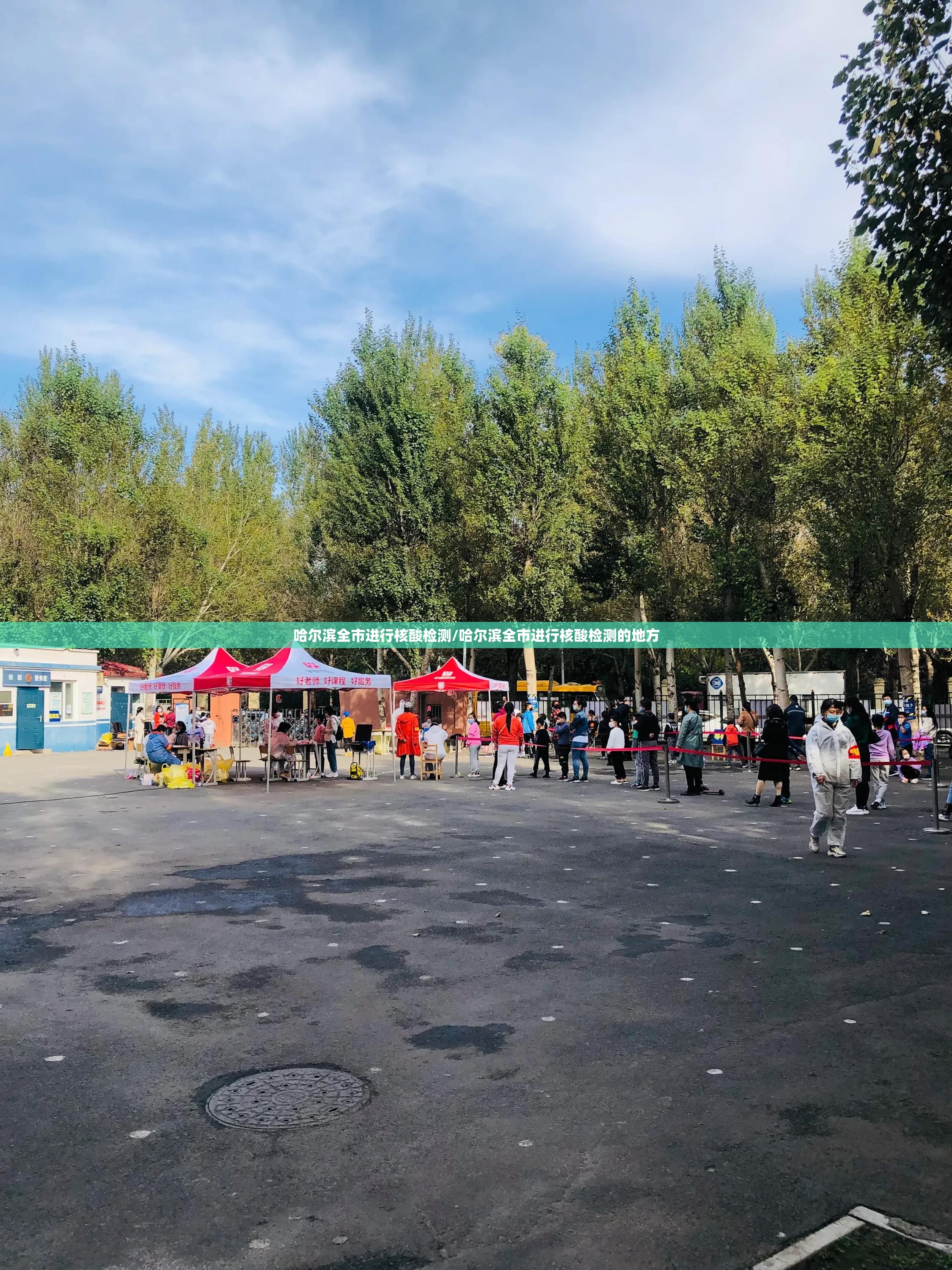 哈尔滨全市进行核酸检测/哈尔滨全市进行核酸检测的地方 哈尔滨全市进行核酸检测/哈尔滨全市进行核酸检测的地方