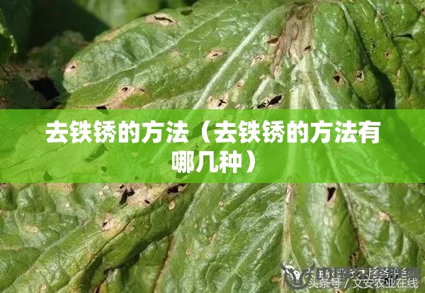 去铁锈的方法(去铁锈的方法有哪几种) 去铁锈的方法(去铁锈的方法有哪几种)