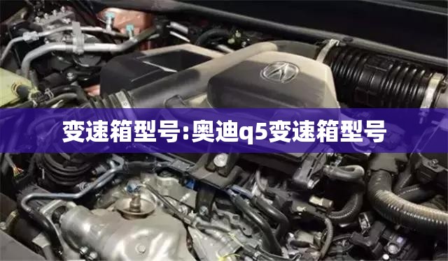 变速箱型号:奥迪q5变速箱型号