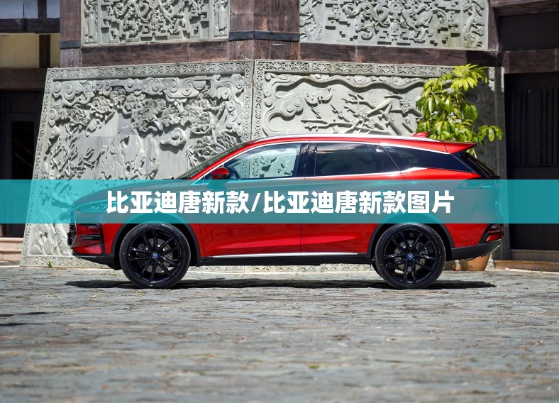 比亚迪唐新款/比亚迪唐新款图片 比亚迪唐新款/比亚迪唐新款图片