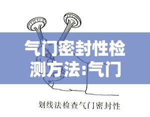 气门密封性检测方法:气门密封性检测方法有哪些 气门密封性检测方法:气门密封性检测方法有哪些