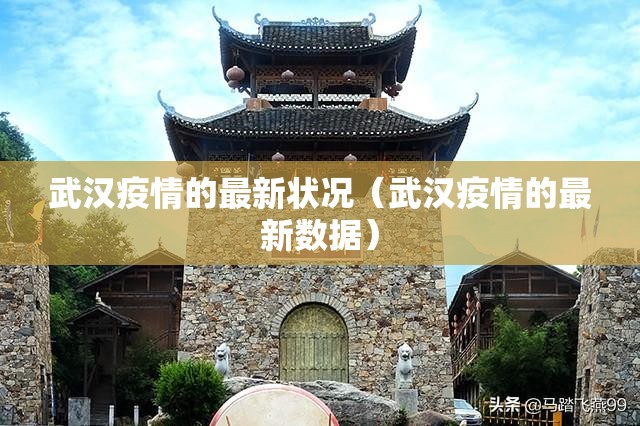 武汉疫情的最新状况(武汉疫情的最新数据) 武汉疫情的最新状况(武汉疫情的最新数据)