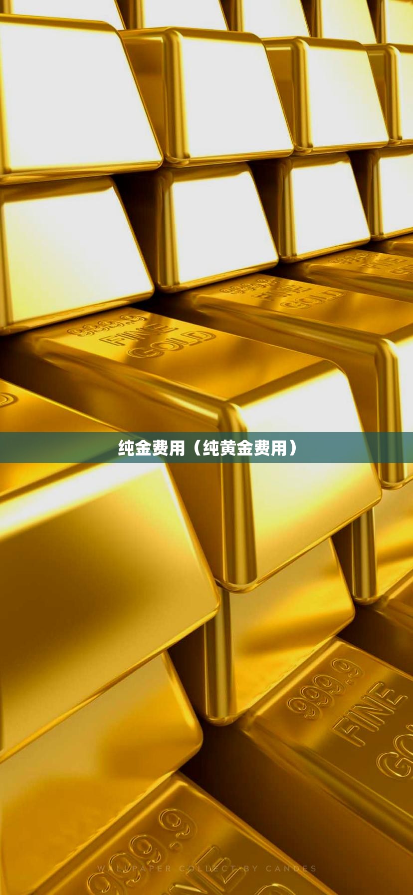 纯金费用(纯黄金费用) 纯金费用(纯黄金费用)