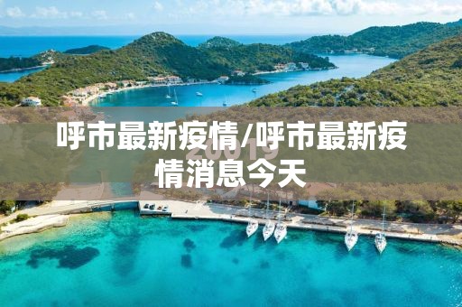 呼市最新疫情/呼市最新疫情消息今天 呼市最新疫情/呼市最新疫情消息今天