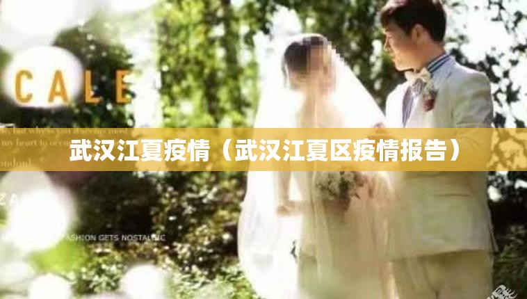 武汉江夏疫情(武汉江夏区疫情报告) 武汉江夏疫情(武汉江夏区疫情报告)
