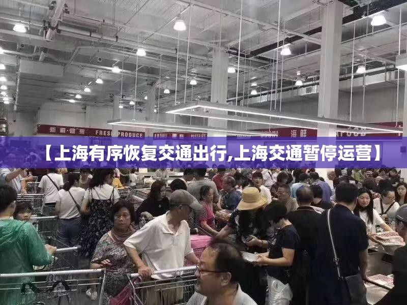 【上海有序恢复交通出行,上海交通暂停运营】