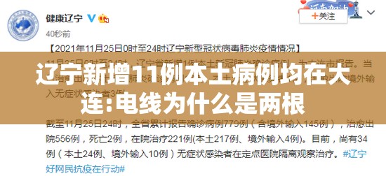 辽宁新增11例本土病例均在大连:电线为什么是两根