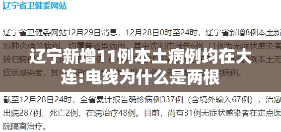 辽宁新增11例本土病例均在大连:电线为什么是两根
