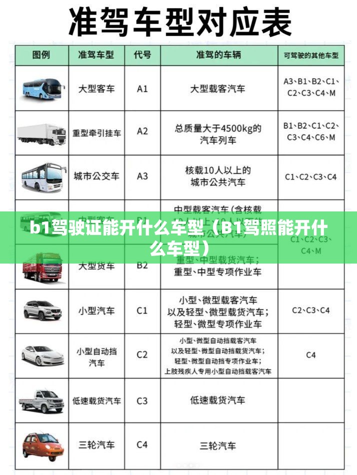 b1驾驶证能开什么车型(B1驾照能开什么车型) b1驾驶证能开什么车型(B1驾照能开什么车型)