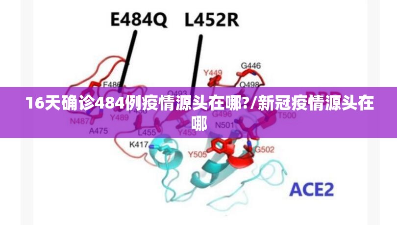 16天确诊484例疫情源头在哪?/新冠疫情源头在哪 16天确诊484例疫情源头在哪?/新冠疫情源头在哪