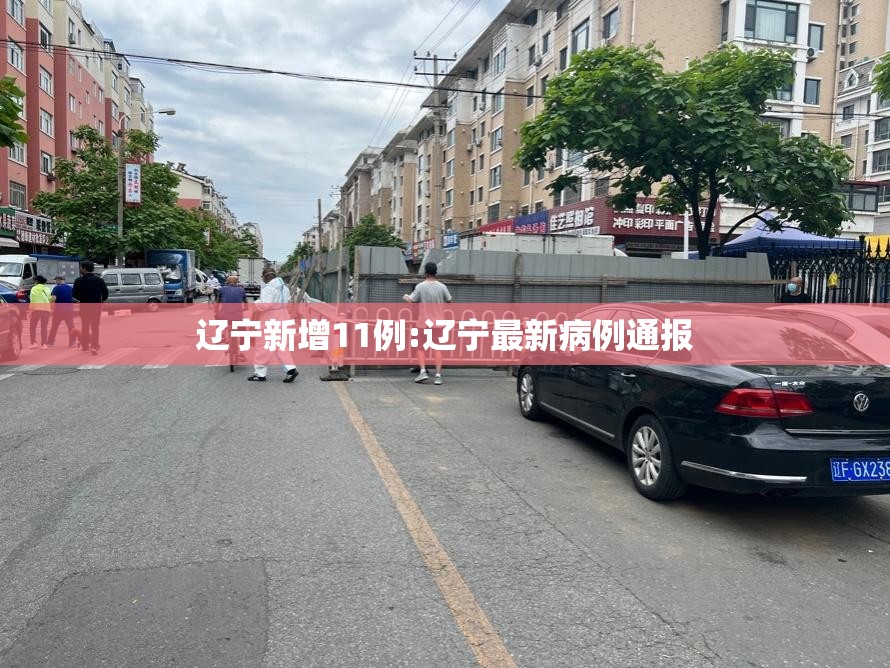 辽宁新增11例:辽宁最新病例通报 辽宁新增11例:辽宁最新病例通报