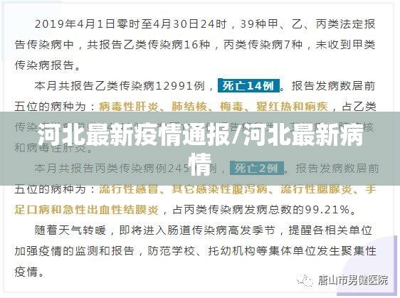 河北最新疫情通报/河北最新病情 河北最新疫情通报/河北最新病情