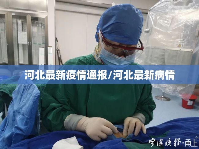 河北最新疫情通报/河北最新病情 河北最新疫情通报/河北最新病情