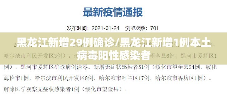 黑龙江新增29例确诊/黑龙江新增1例本土病毒阳性感染者