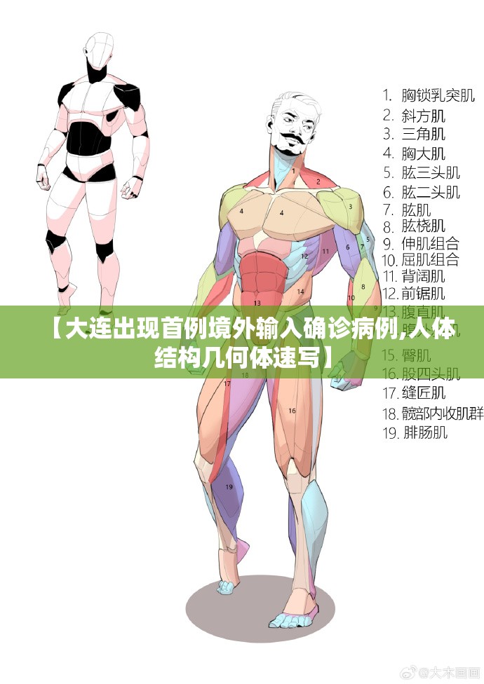 【大连出现首例境外输入确诊病例,人体结构几何体速写】 【大连出现首例境外输入确诊病例,人体结构几何体速写】