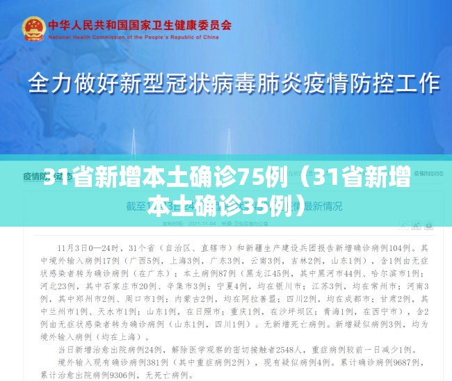 31省新增本土确诊75例(31省新增本土确诊35例) 31省新增本土确诊75例(31省新增本土确诊35例)
