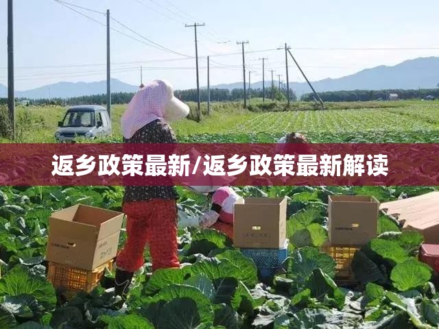 返乡政策最新/返乡政策最新解读 返乡政策最新/返乡政策最新解读