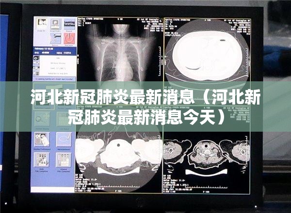 河北新冠肺炎最新消息（河北新冠肺炎最新消息今天）
