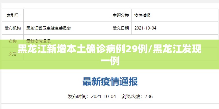黑龙江新增本土确诊病例29例/黑龙江发现一例