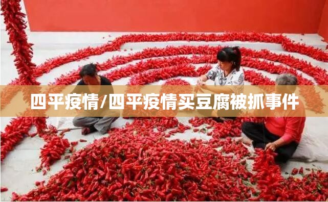 四平疫情/四平疫情买豆腐被抓事件 四平疫情/四平疫情买豆腐被抓事件
