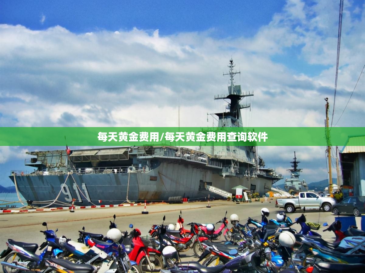 每天黄金费用/每天黄金费用查询软件 每天黄金费用/每天黄金费用查询软件