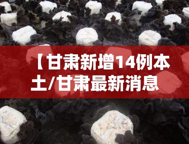 【甘肃新增14例本土/甘肃最新消息今天】