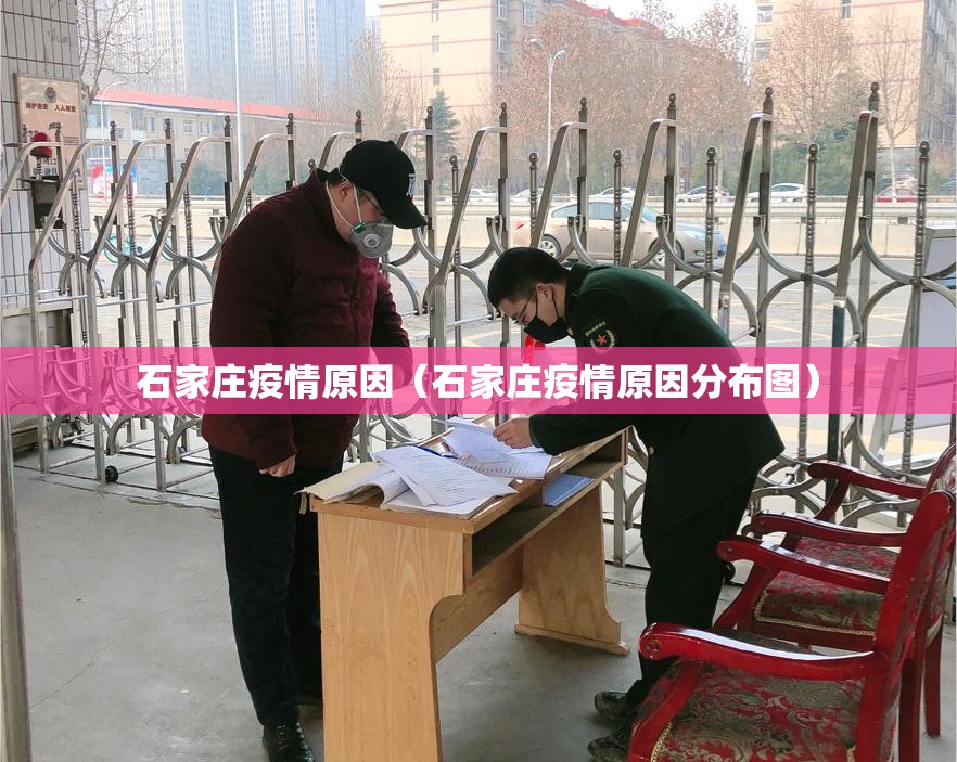 石家庄疫情原因(石家庄疫情原因分布图) 石家庄疫情原因(石家庄疫情原因分布图)