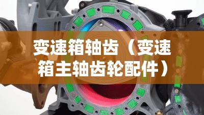 变速箱轴齿（变速箱主轴齿轮配件）