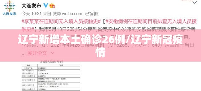 辽宁新增本土确诊26例/辽宁新冠疫情 辽宁新增本土确诊26例/辽宁新冠疫情