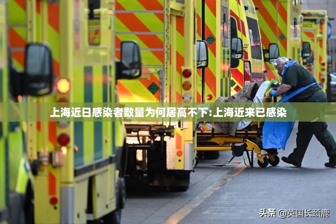 上海近日感染者数量为何居高不下:上海近来已感染 上海近日感染者数量为何居高不下:上海近来已感染