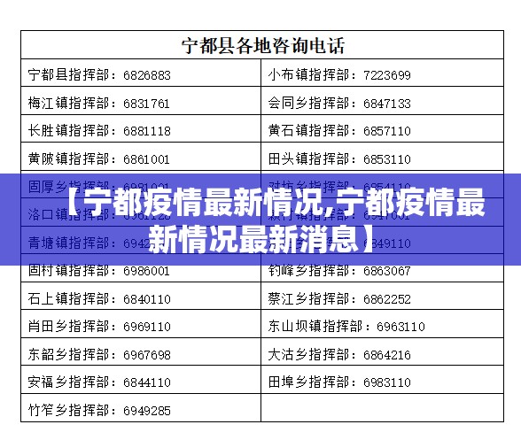 【宁都疫情最新情况,宁都疫情最新情况最新消息】