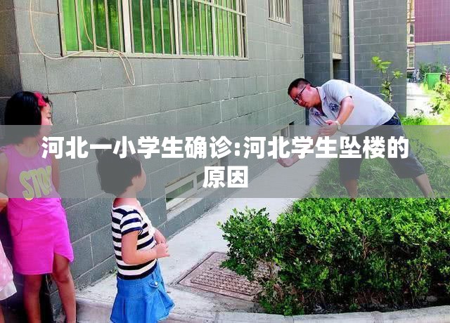 河北一小学生确诊:河北学生坠楼的原因 河北一小学生确诊:河北学生坠楼的原因