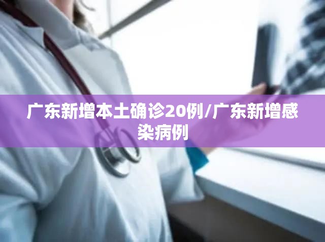 广东新增本土确诊20例/广东新增感染病例