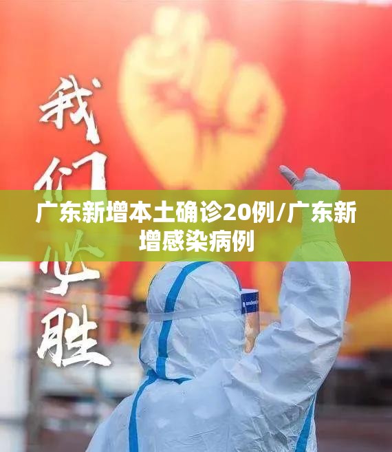 广东新增本土确诊20例/广东新增感染病例