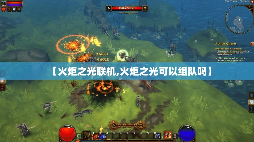 【火炬之光联机,火炬之光可以组队吗】