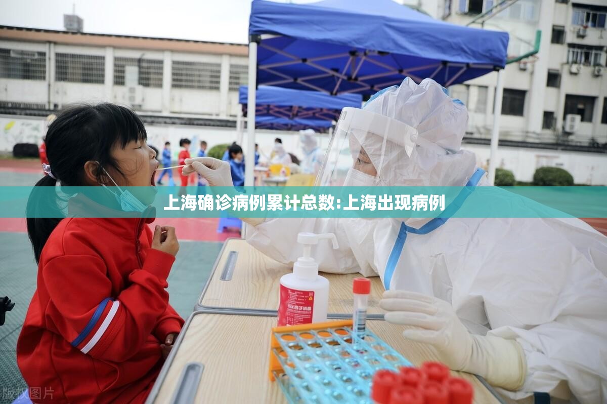 上海确诊病例累计总数:上海出现病例 上海确诊病例累计总数:上海出现病例