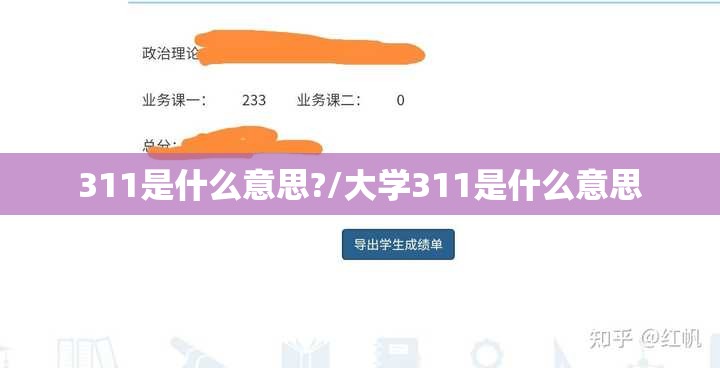 311是什么意思?/大学311是什么意思
