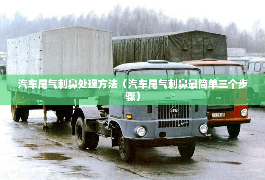汽车尾气刺鼻处理方法(汽车尾气刺鼻最简单三个步骤) 汽车尾气刺鼻处理方法(汽车尾气刺鼻最简单三个步骤)