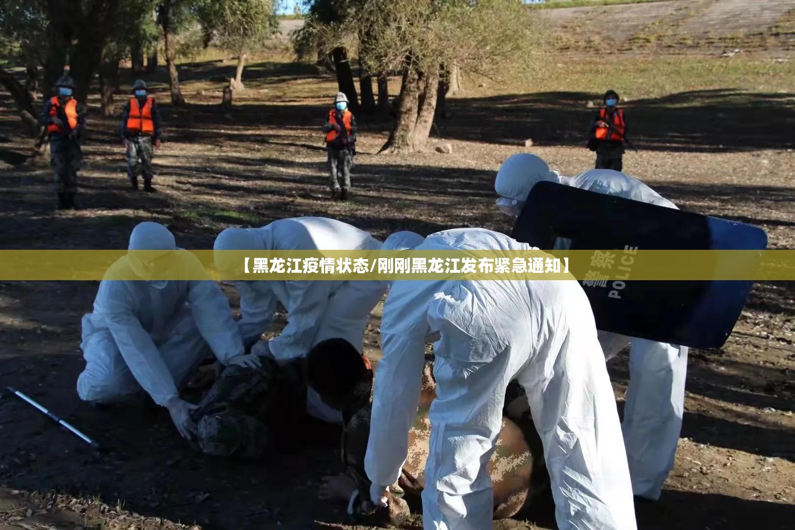 【黑龙江疫情状态/刚刚黑龙江发布紧急通知】 【黑龙江疫情状态/刚刚黑龙江发布紧急通知】