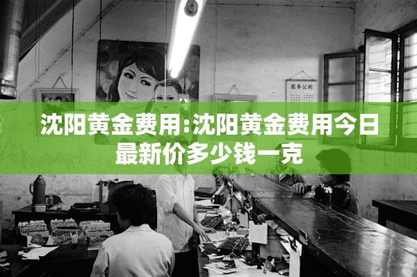 沈阳黄金费用:沈阳黄金费用今日最新价多少钱一克 沈阳黄金费用:沈阳黄金费用今日最新价多少钱一克