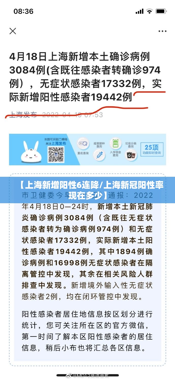 【上海新增阳性6连降/上海新冠阳性率现在多少】 【上海新增阳性6连降/上海新冠阳性率现在多少】