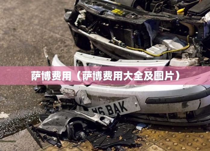 萨博费用(萨博费用大全及图片) 萨博费用(萨博费用大全及图片)