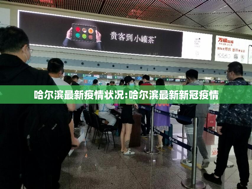 哈尔滨最新疫情状况:哈尔滨最新新冠疫情 哈尔滨最新疫情状况:哈尔滨最新新冠疫情