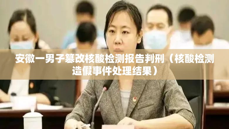 安徽一男子篡改核酸检测报告判刑(核酸检测造假事件处理结果) 安徽一男子篡改核酸检测报告判刑(核酸检测造假事件处理结果)