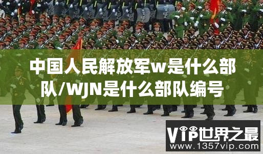 中国人民解放军w是什么部队/WJN是什么部队编号 中国人民解放军w是什么部队/WJN是什么部队编号