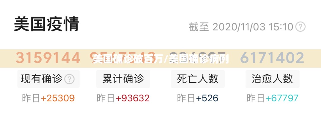 美国确诊破百万/美国确诊病例 美国确诊破百万/美国确诊病例