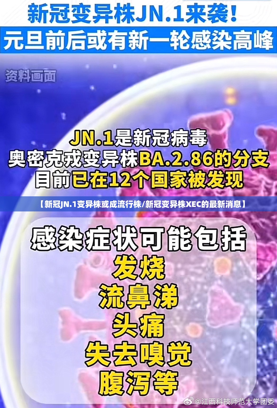 【新冠JN.1变异株或成流行株/新冠变异株XEC的最新消息】 【新冠JN.1变异株或成流行株/新冠变异株XEC的最新消息】