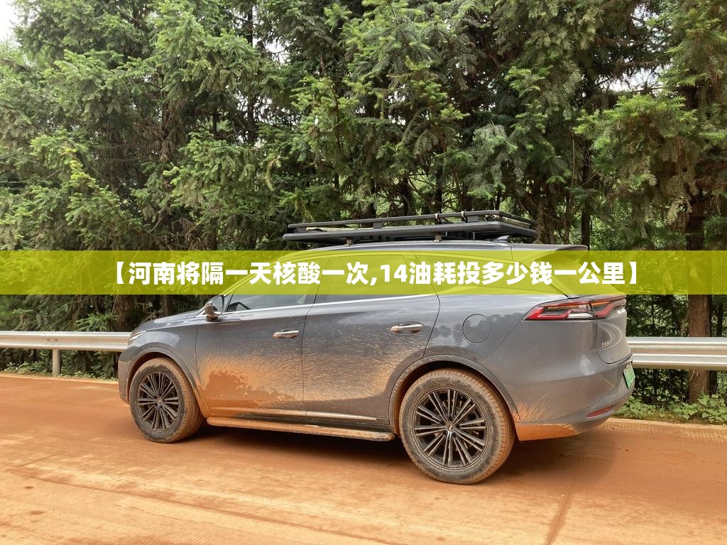 【河南将隔一天核酸一次,14油耗投多少钱一公里】